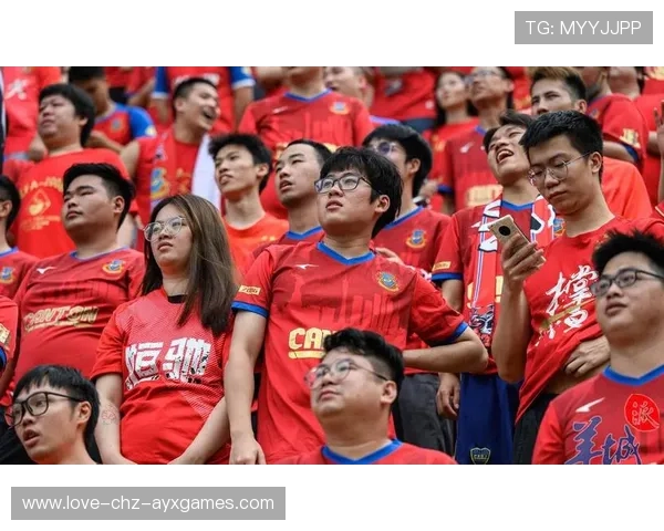 足球纪录片热播：球迷追寻英雄故事热情高涨