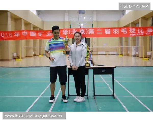 羽毛球职业发展扶持政策建议与实施路径