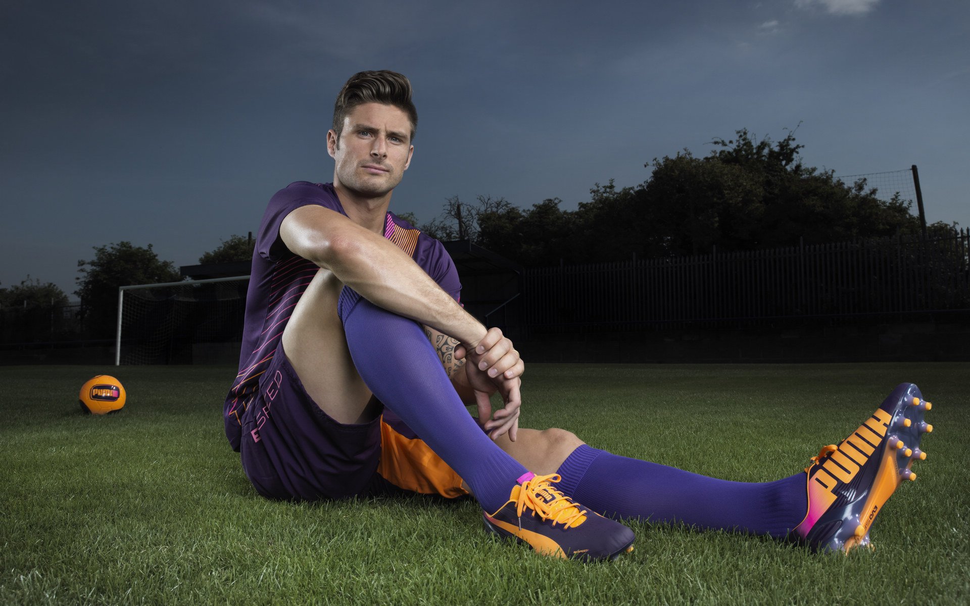 体育赛事收视率分析报告